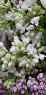 Цветы в корзине &laquo;Весенний день&raquo;