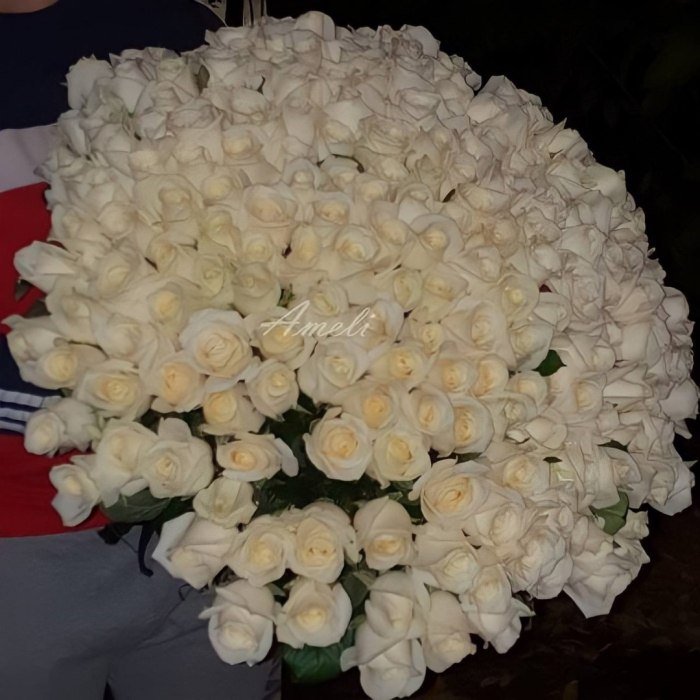 Букет из 151 белой розы «Вдохновение» — доставка цветов Мытищах
