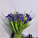 Монобукет из ирисов