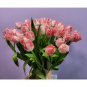 Монобукет из тюльпанов