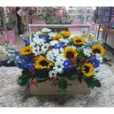 МИНИ САД