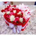 СЕРДЦЕ С РАФАЭЛЛО